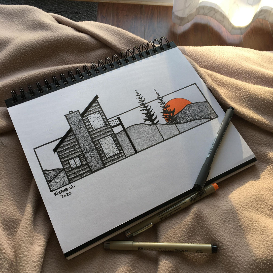 I was Supposed to be an Architect - The Story of Naturally Illustrated