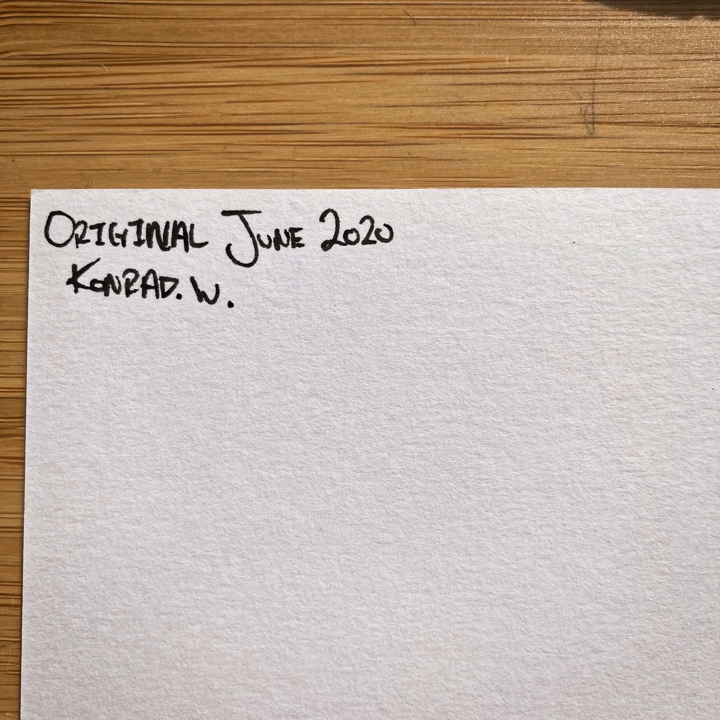 Algonquin Provincial Park - ORIGINAL 11x14 Pen and Ink Illustration