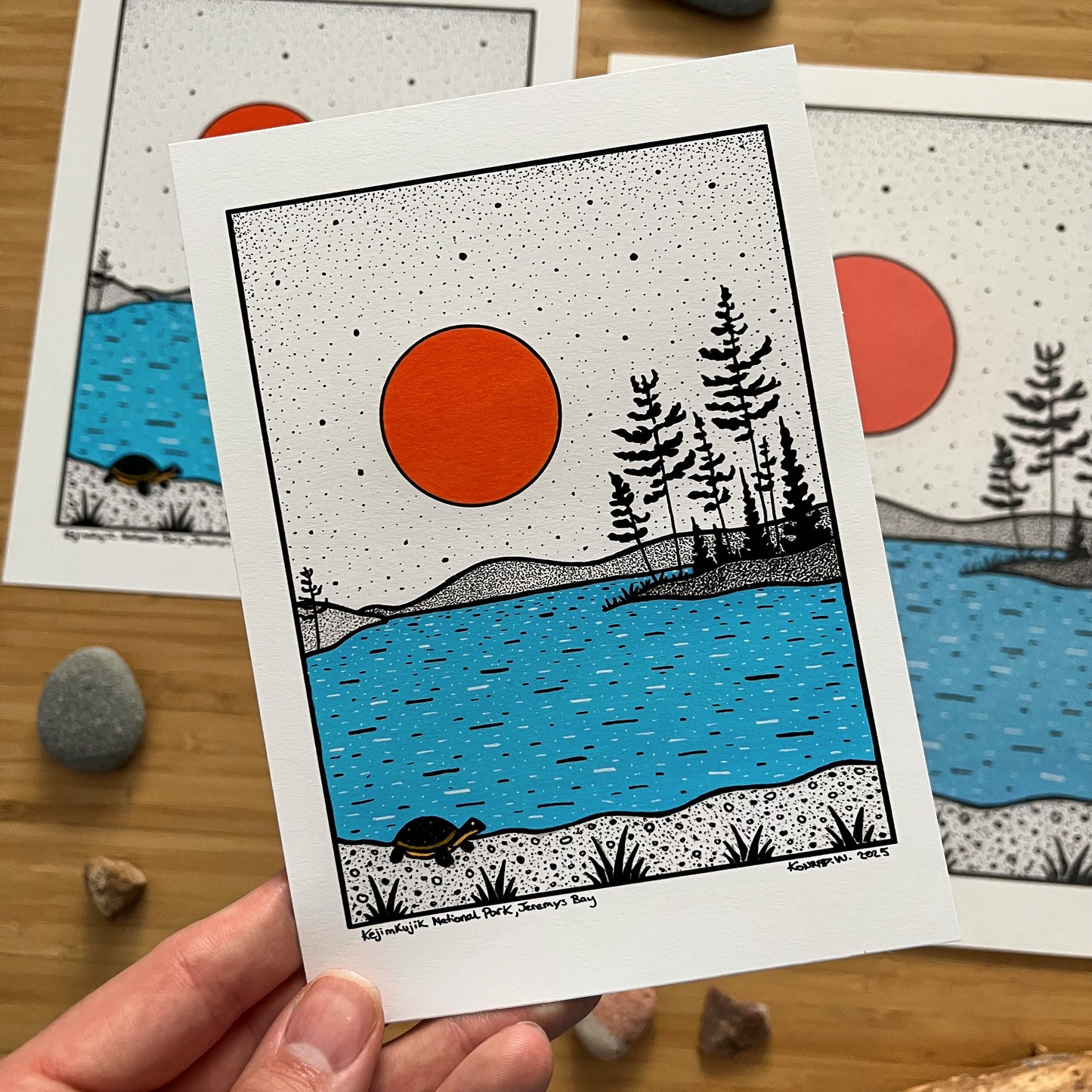 Kejimkujik National Park, Jeremys Bay - Pen and Ink PRINT