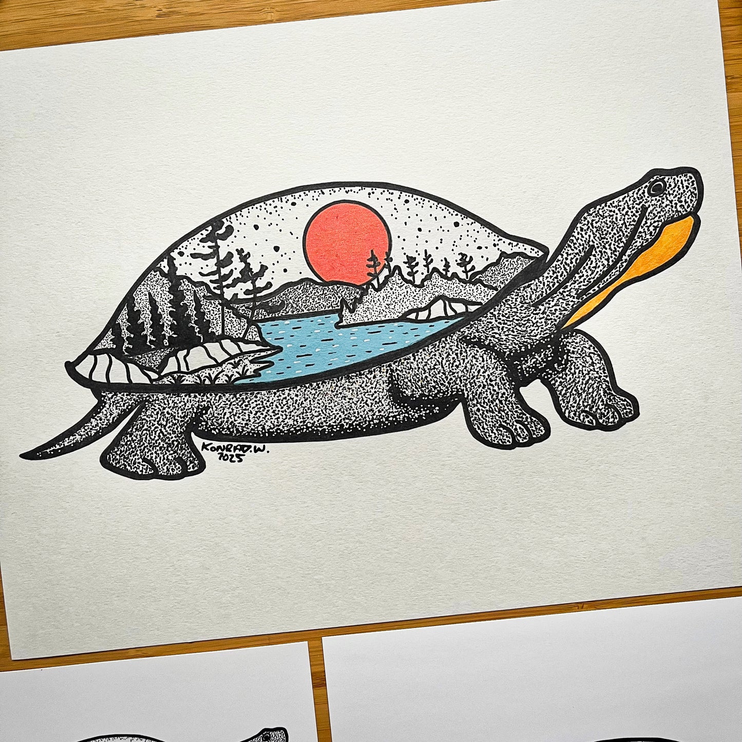 Turtle - Pen and Ink PRINT