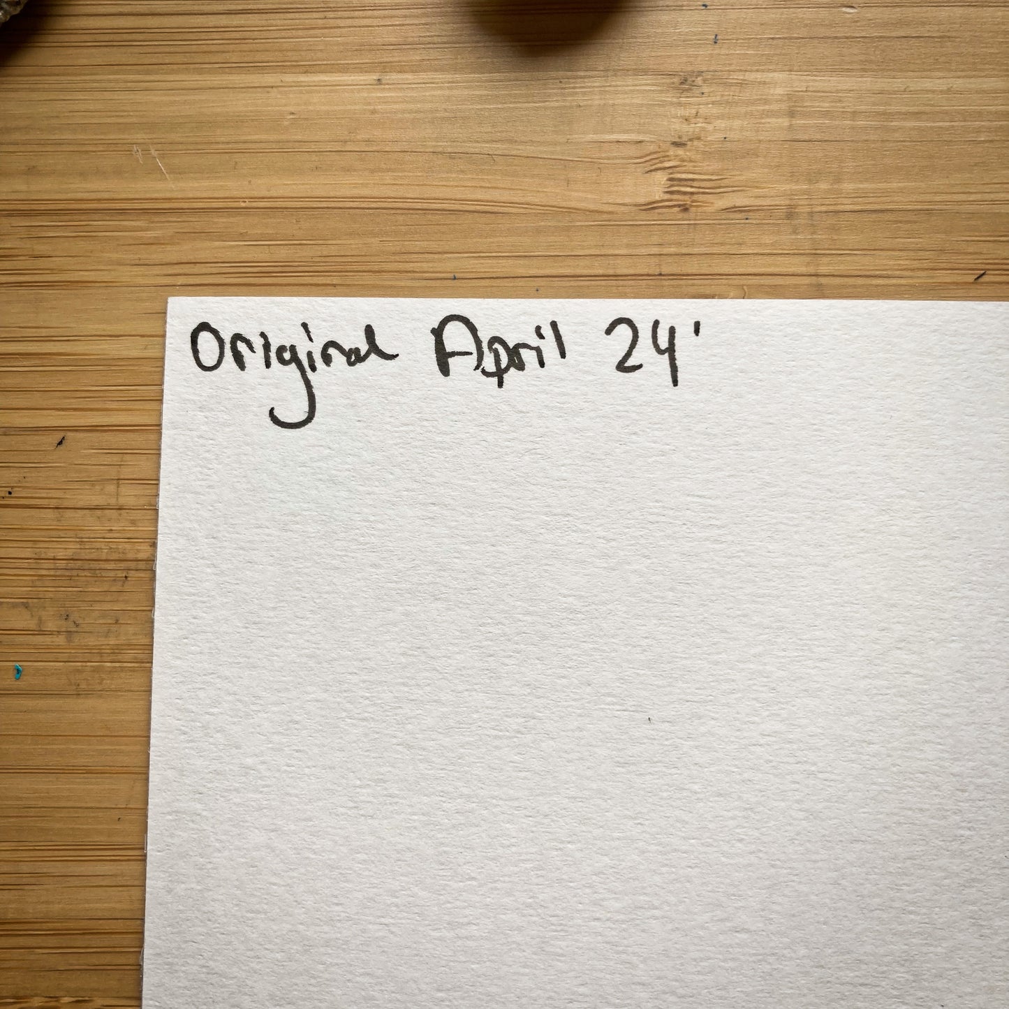 Vancouver Island - 11x14 ORIGINAL Pen and Ink Illustration