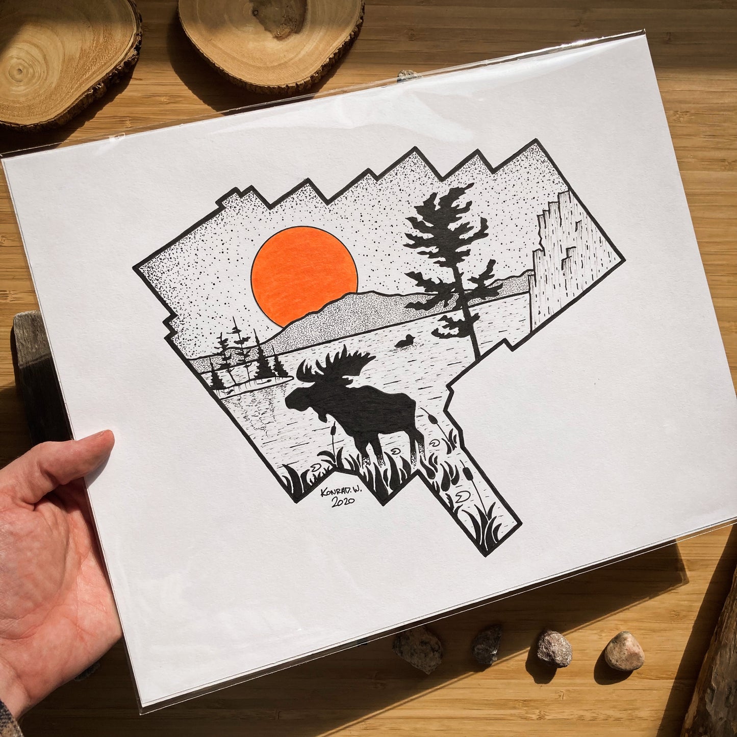 Algonquin Provincial Park - ORIGINAL 11x14 Pen and Ink Illustration