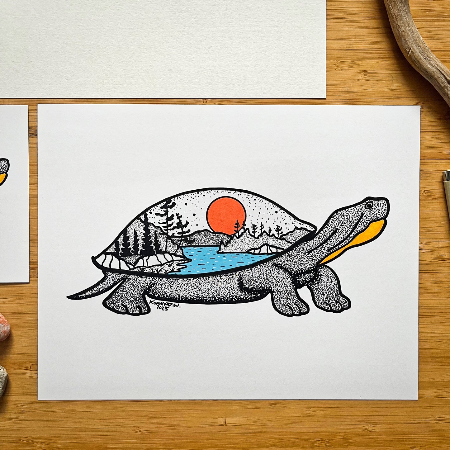 Turtle - Pen and Ink PRINT