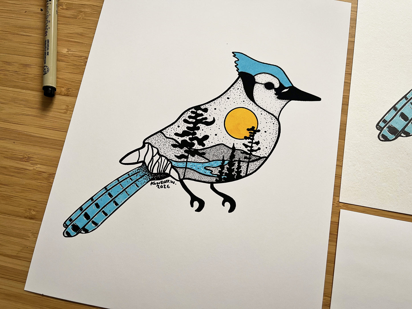 Blue Jay - Pen and Ink PRINT