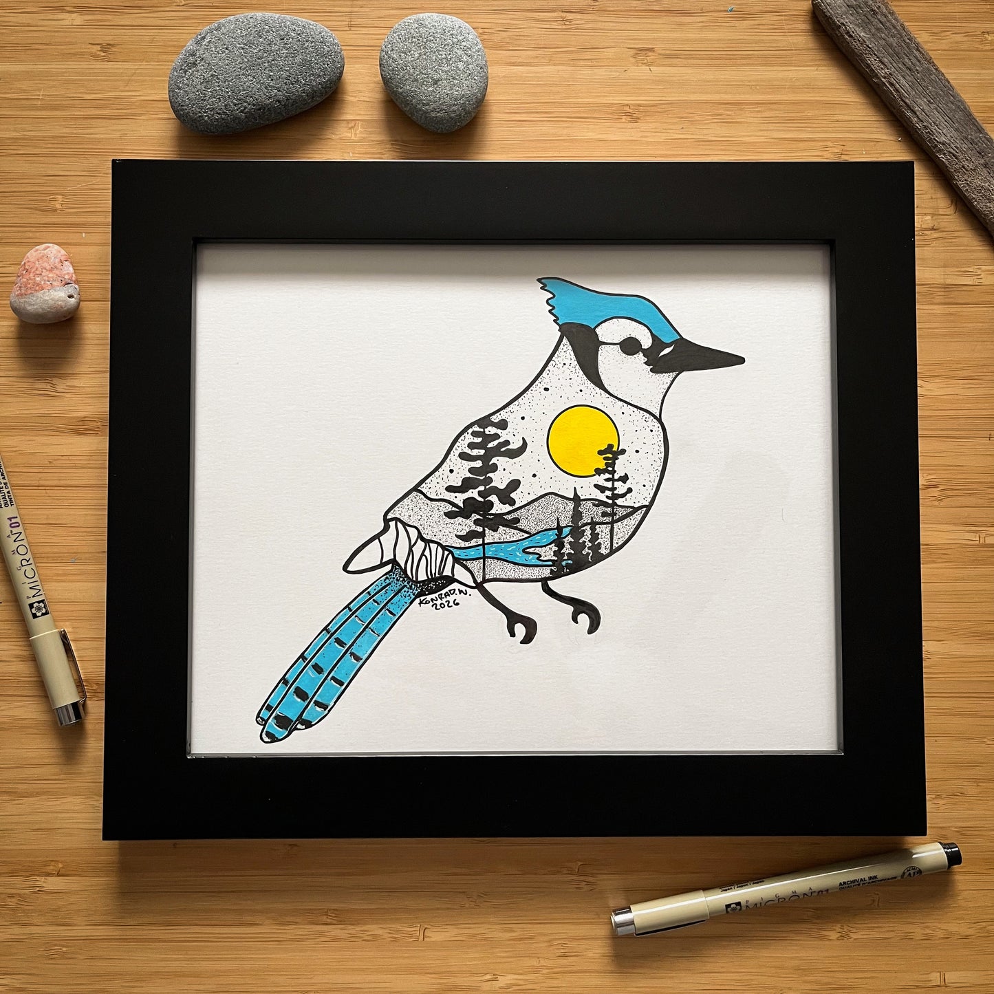 Blue Jay - ORIGINAL 8x10 Framed Illustration