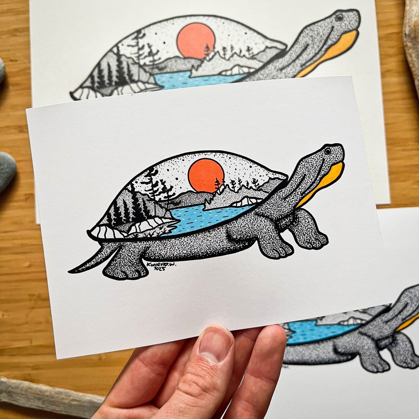 Turtle - Pen and Ink PRINT