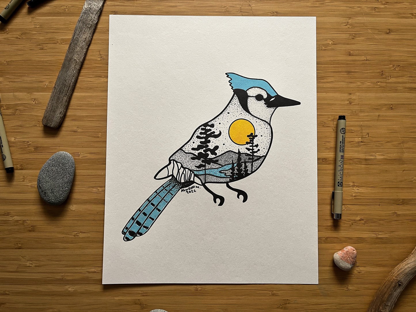 Blue Jay - Pen and Ink PRINT