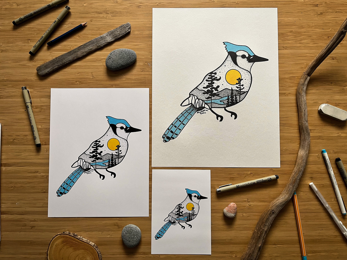 Blue Jay - Pen and Ink PRINT