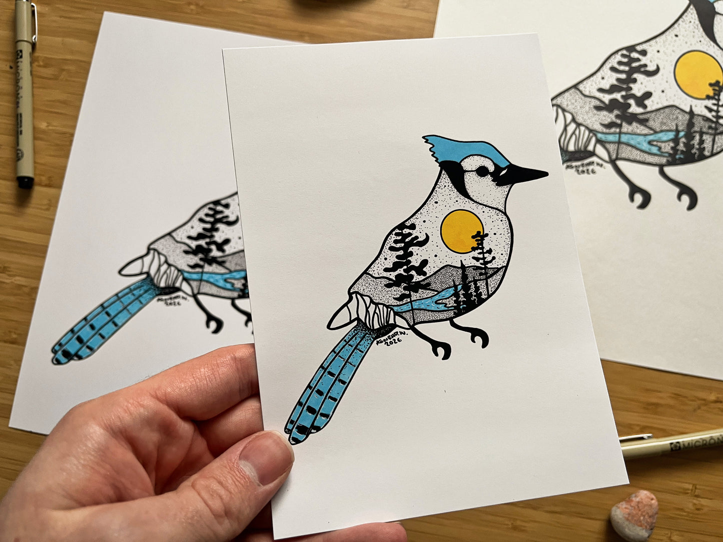 Blue Jay - Pen and Ink PRINT