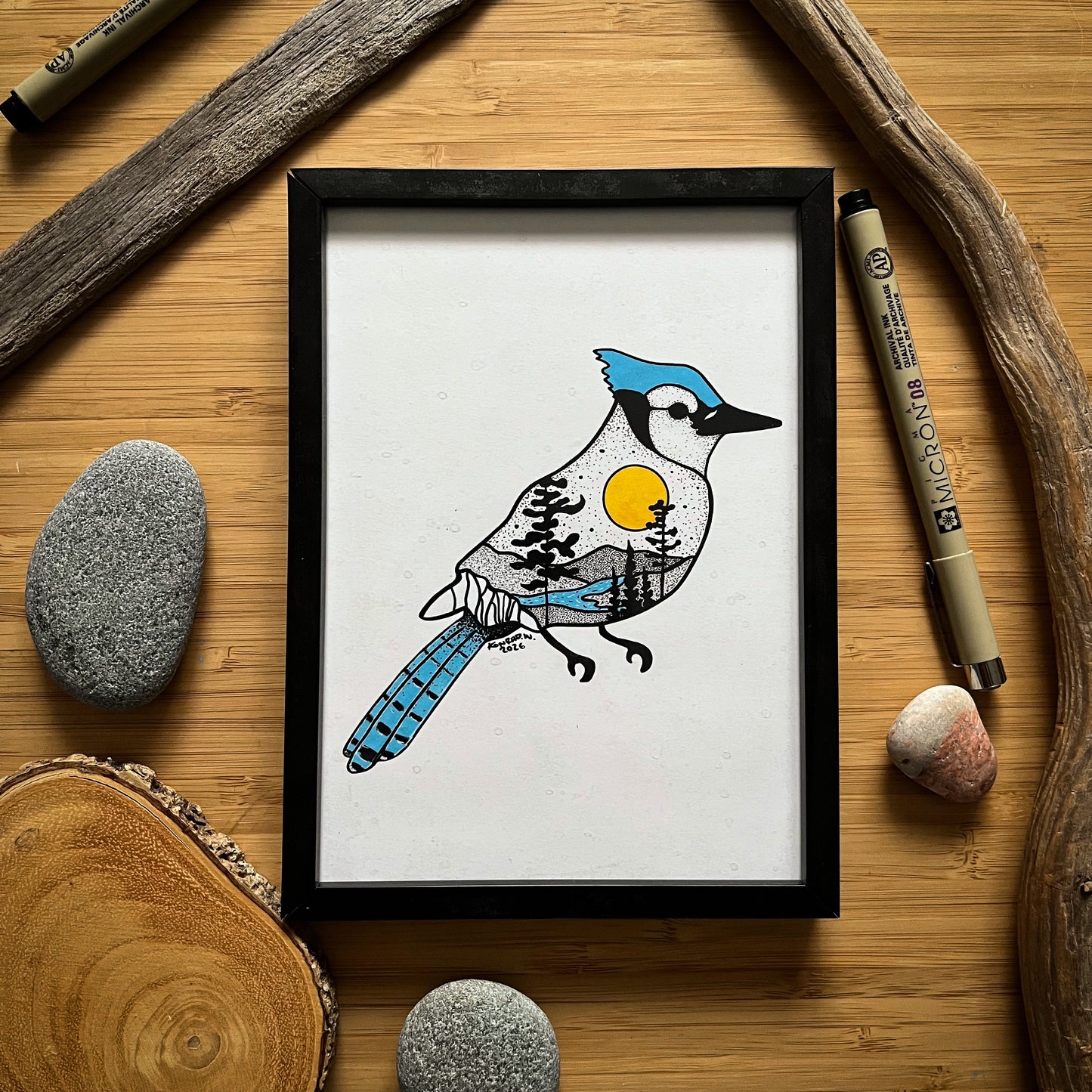 Blue Jay - Pen and Ink PRINT